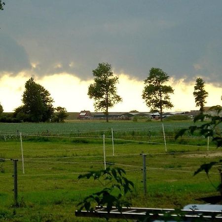 Deich Im Landhaus Michaela Friedrichskoog Esterno foto