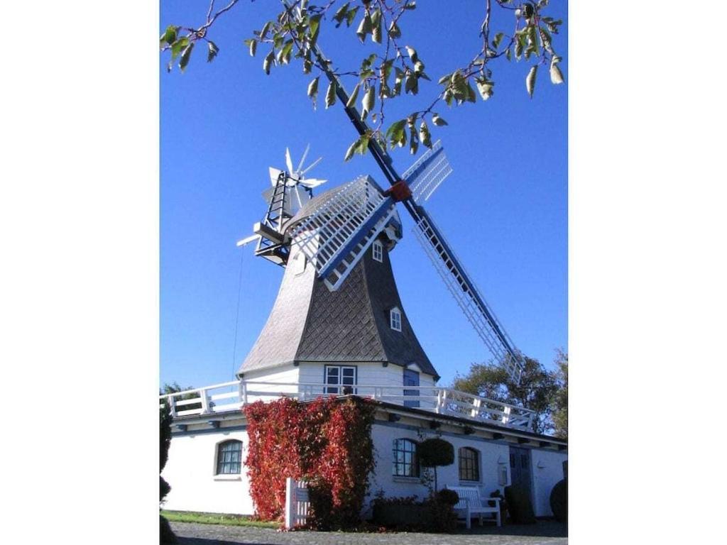 Deich Im Landhaus Michaela Friedrichskoog Esterno foto
